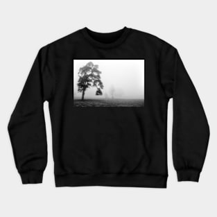 Scots Pine in fog Crewneck Sweatshirt